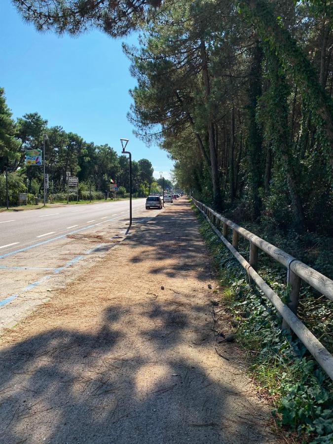 Appartement Medusablu121